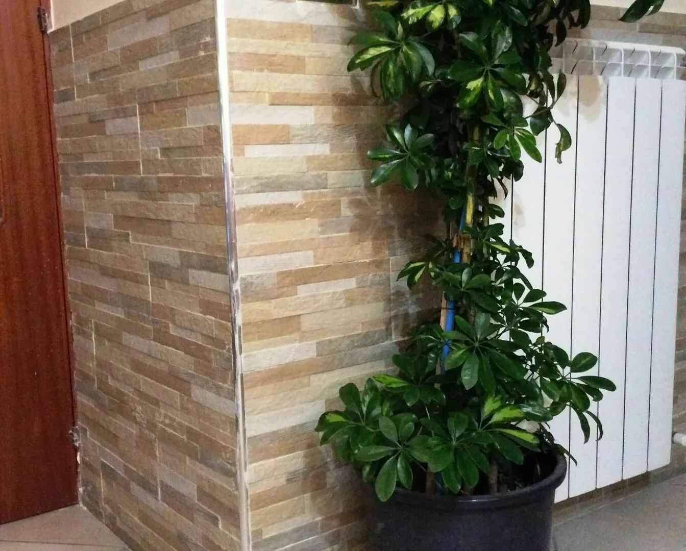 B&B Benvenuto A Napoli Naples